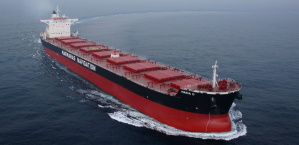 Bulk Carriers